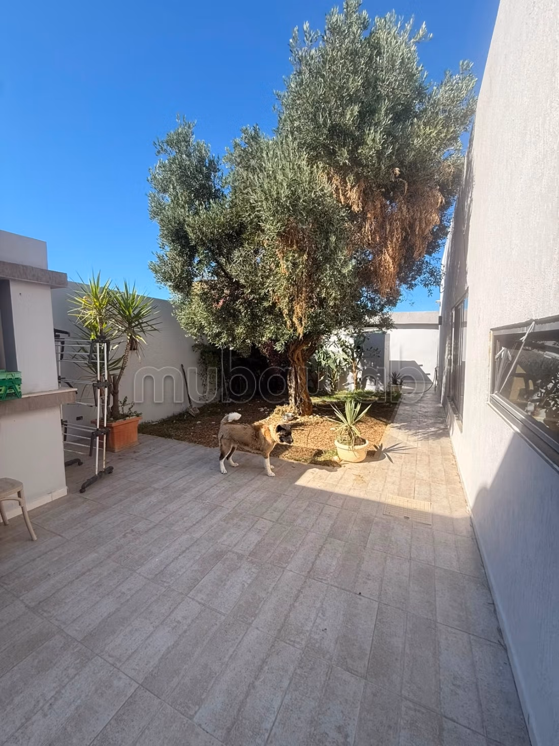 In vendita villa di alta qualità a Borj Touil