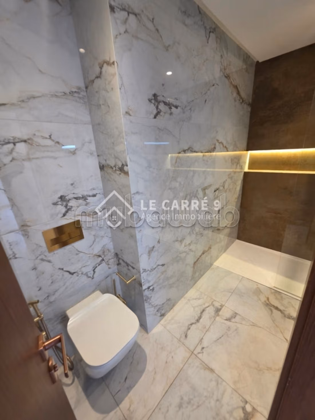 A louer un luxueux s1 aux jardins de carthage