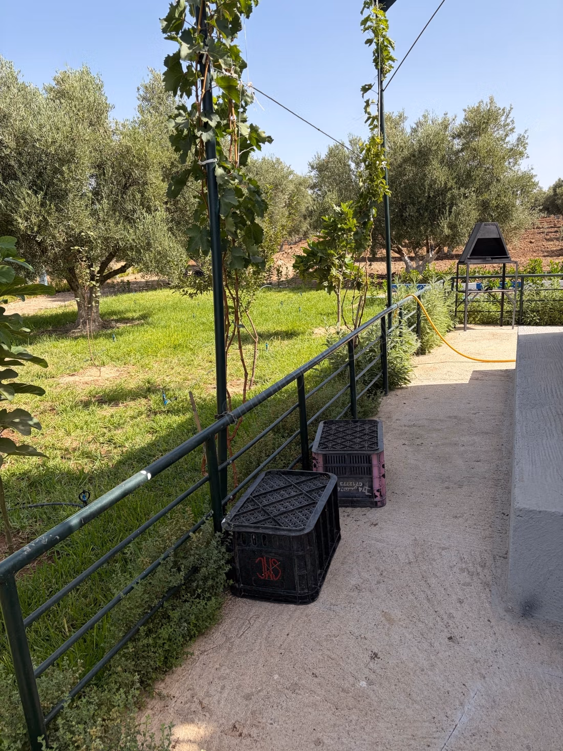 Ferme à vendre sur la Route de Sefrou. Surface de 13000 m². Quartier protégé