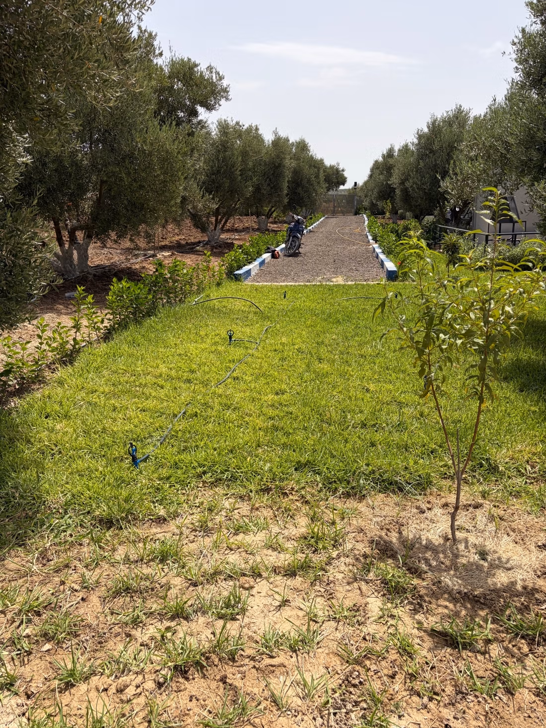 Ferme à vendre sur la Route de Sefrou. Surface de 13000 m². Quartier protégé