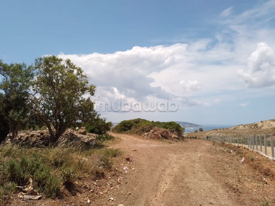 Terrain Titre a Tanger