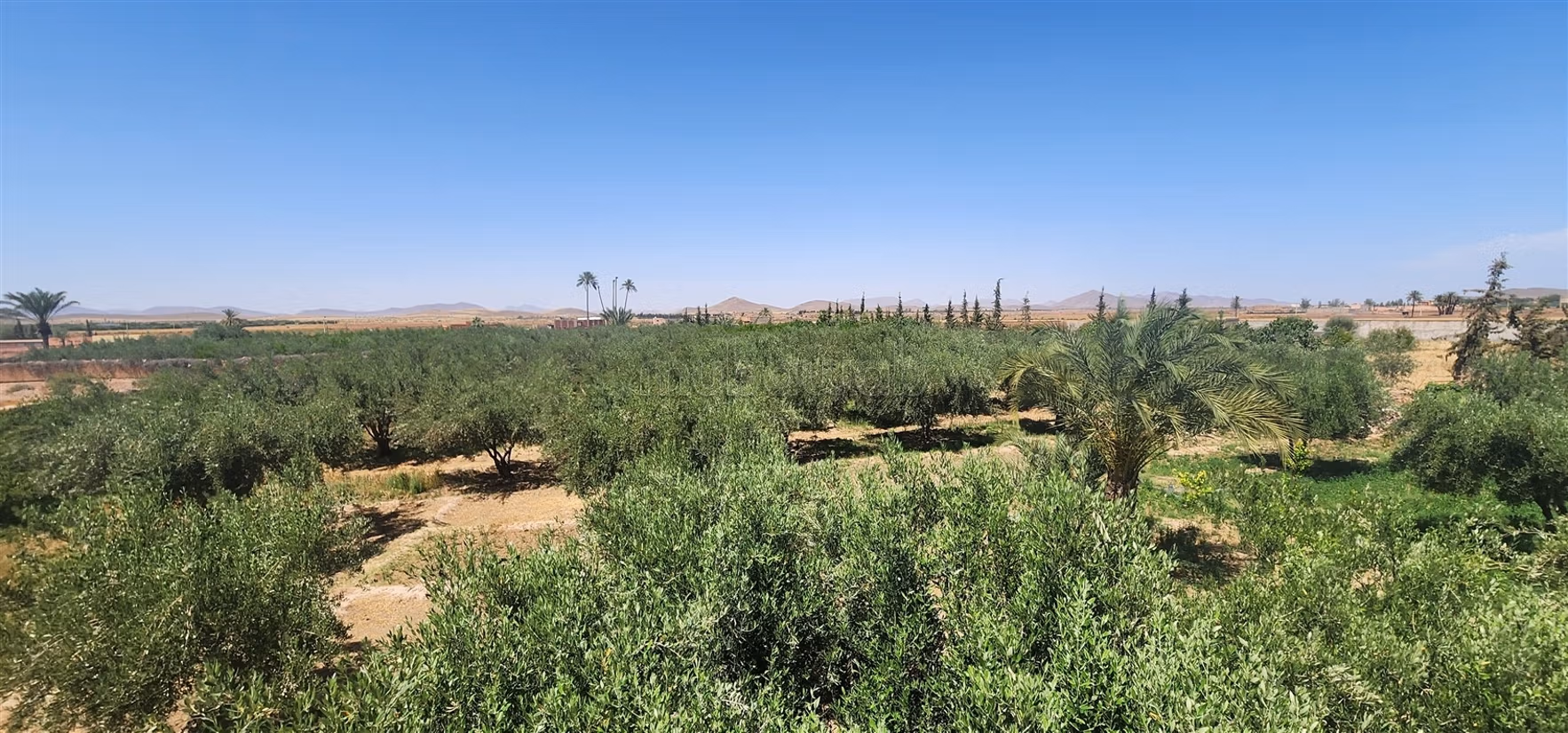HACIENDA / fort POTENTIAL tourist