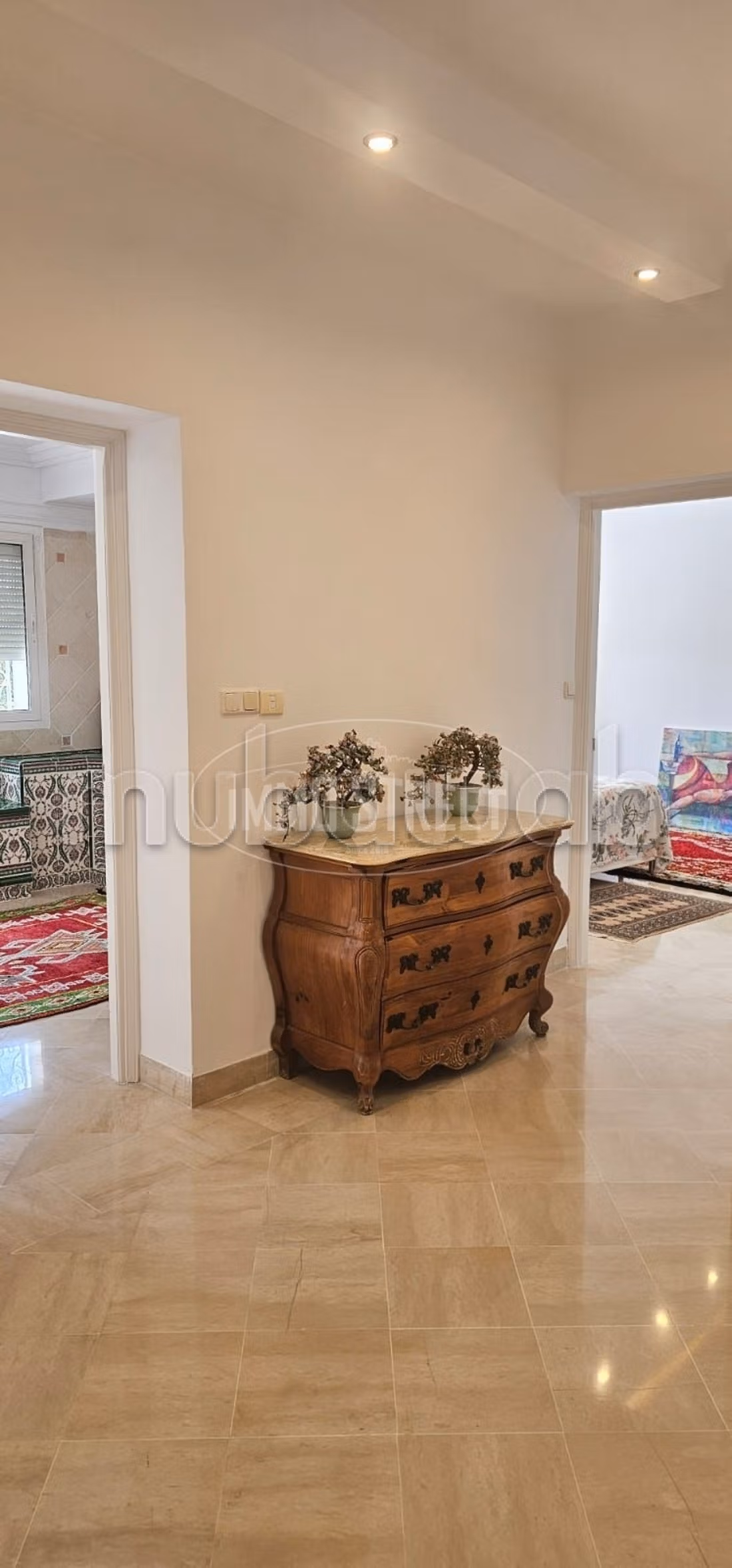 Furnished Duplex S3 in Gammarth Superior