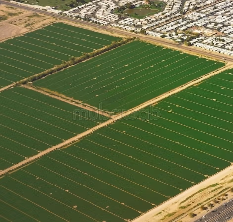 Terreno en venta en la carretera de Rabat, cerca del futuro gran estadio de Meknés