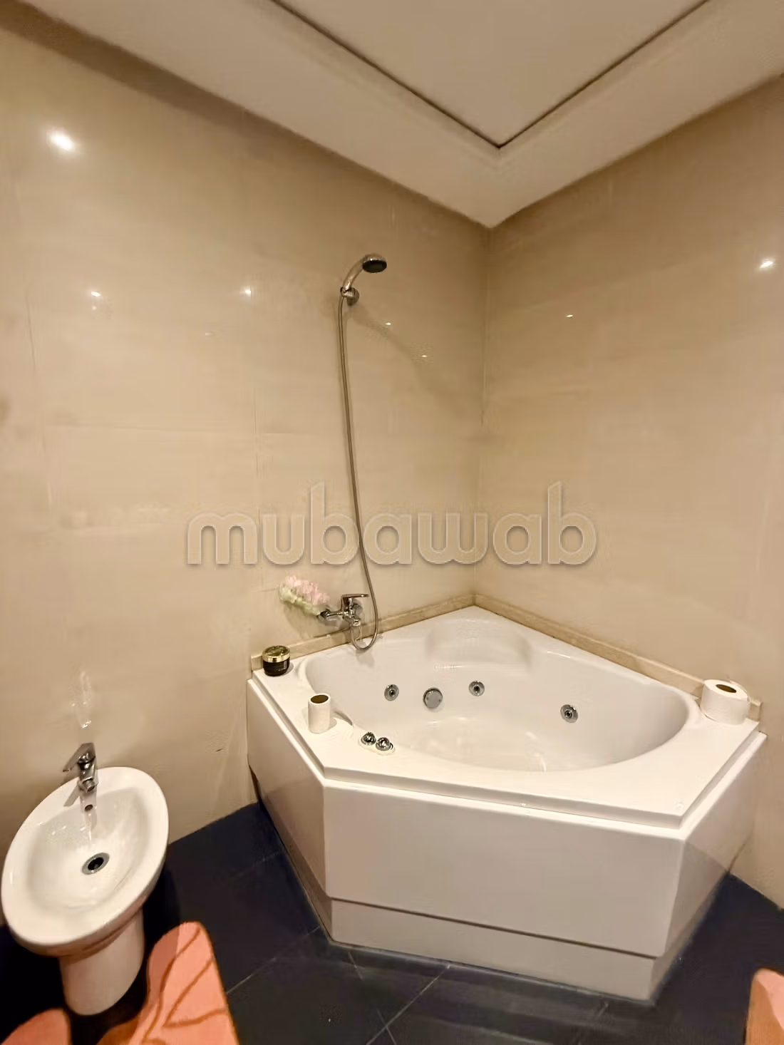 Appartement 140 m² à Les Hôpitaux — 11