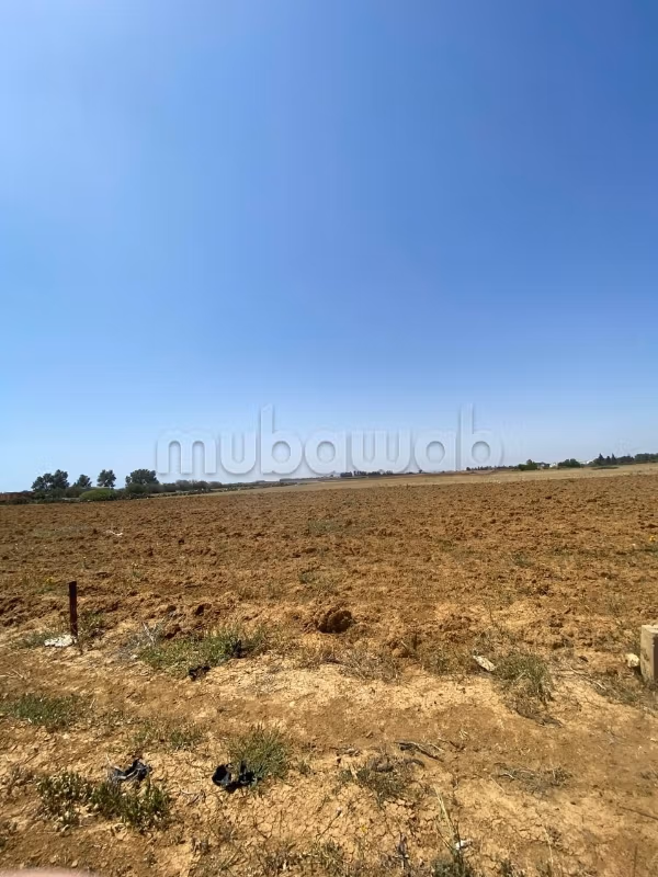 بيع قطعة أرض 2500م2 دوحيخلا حمامات