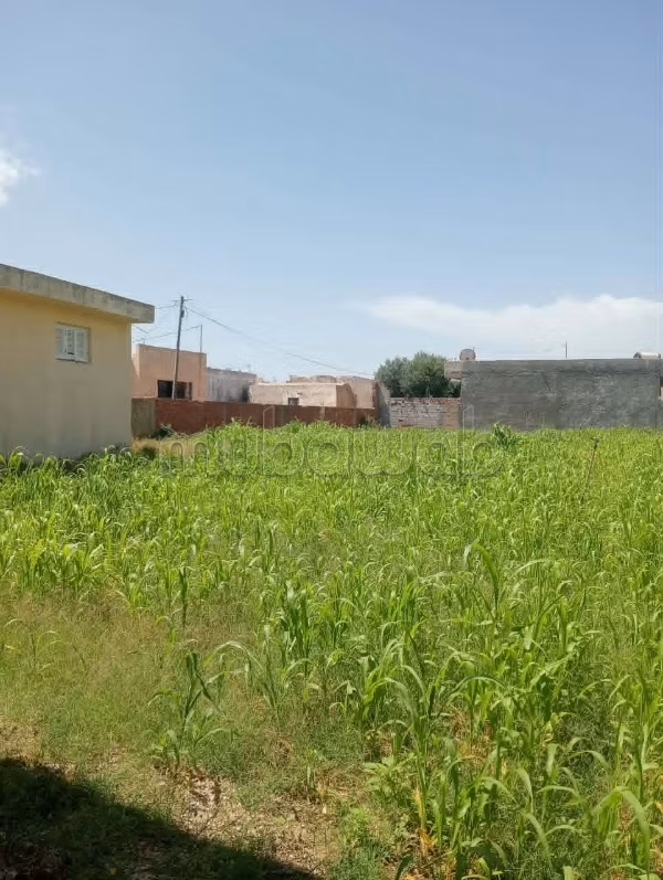 Maison 1400m2 directement sur la route