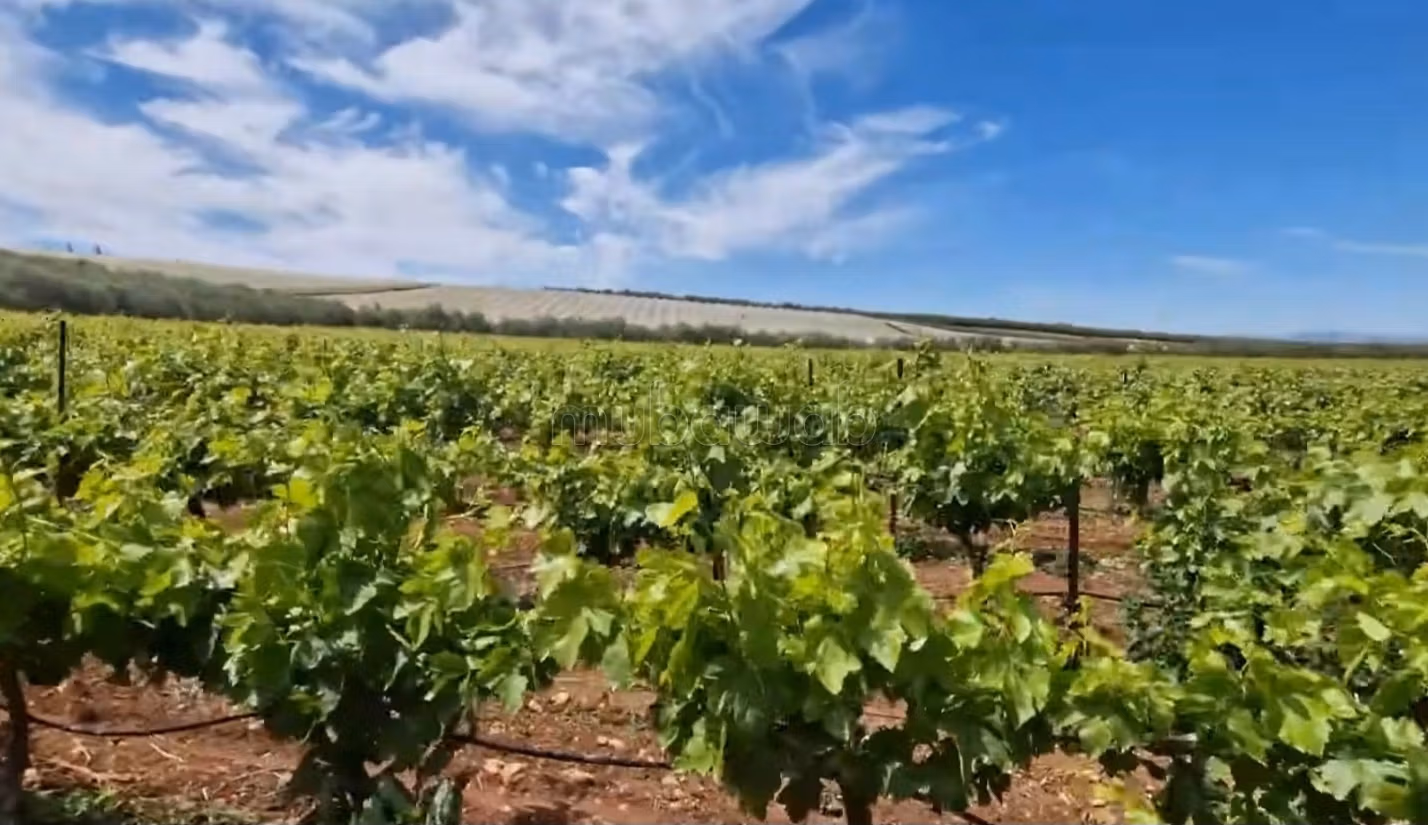 Fattoria ben attrezzata ad Ain aghbal vicino a domaine zniber, 4 ettari di vigne e ulivi