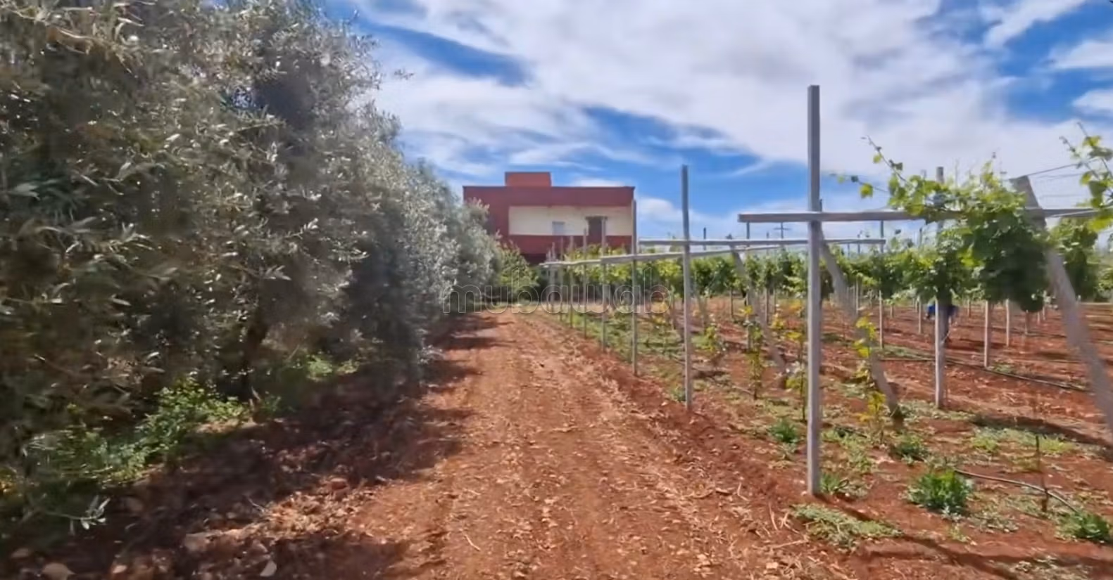 Fattoria ben attrezzata ad Ain aghbal vicino a domaine zniber, 4 ettari di vigne e ulivi