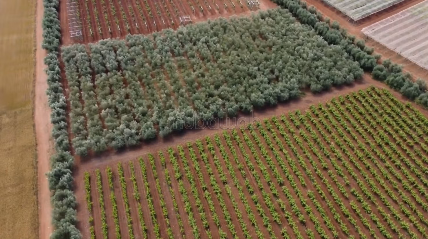 Fattoria ben attrezzata ad Ain aghbal vicino a domaine zniber, 4 ettari di vigne e ulivi