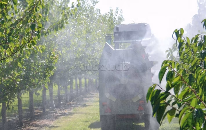 Kleine boerderij van 2 hectare aan de weg met grote gevels Haj Kaddour, olijfbomen, amandelen