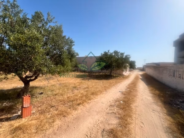 A vendre terrain 300m² à Hammamet Nord Beni Wael