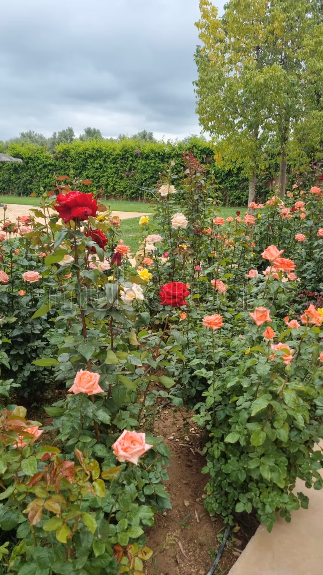 Splendida villa in vendita in Route de l'Ourika. 9 camere accoglienti. Arredato