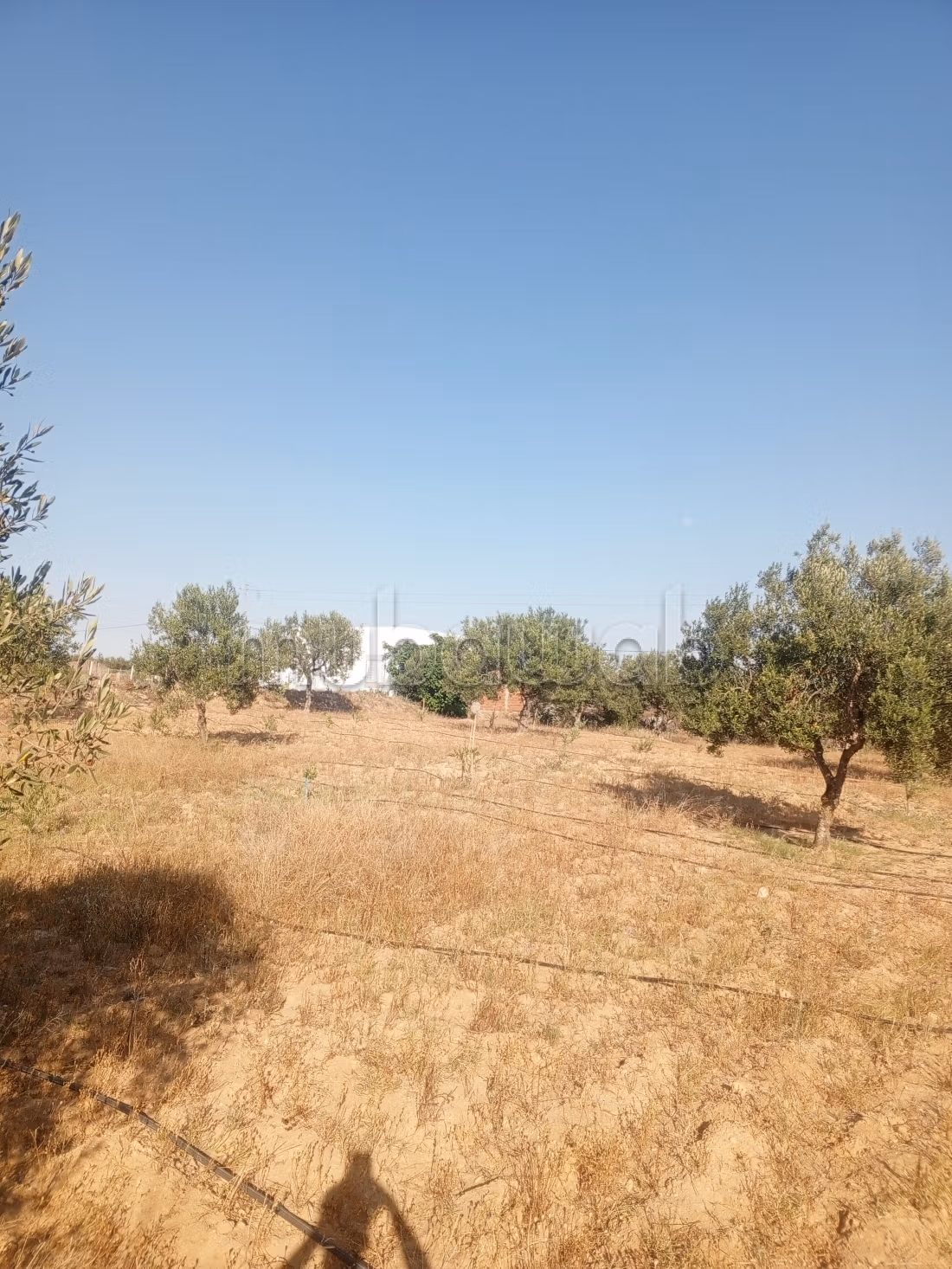 Terreno in vendita nel castello الكبرى