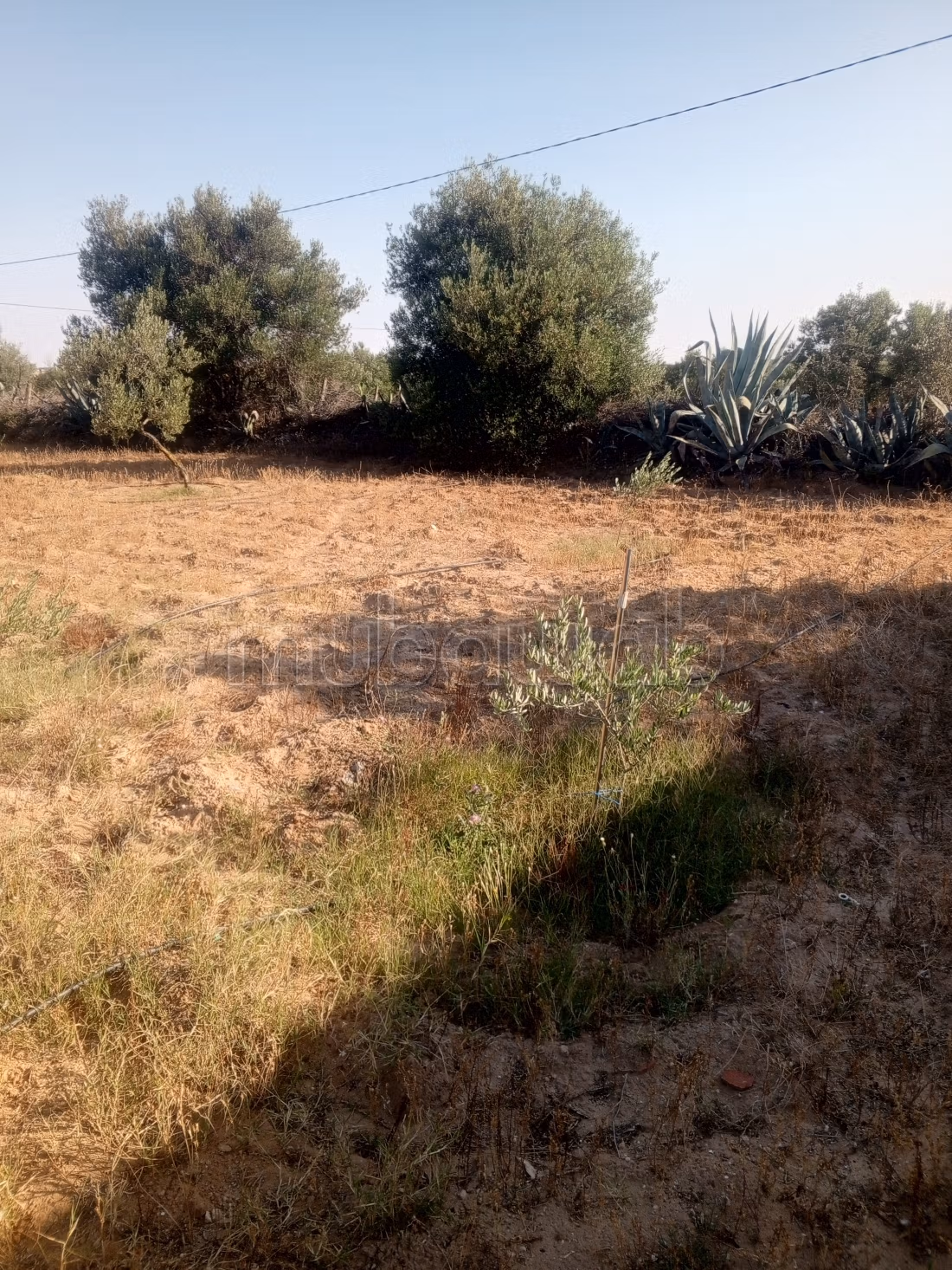 Terreno in vendita nel castello الكبرى