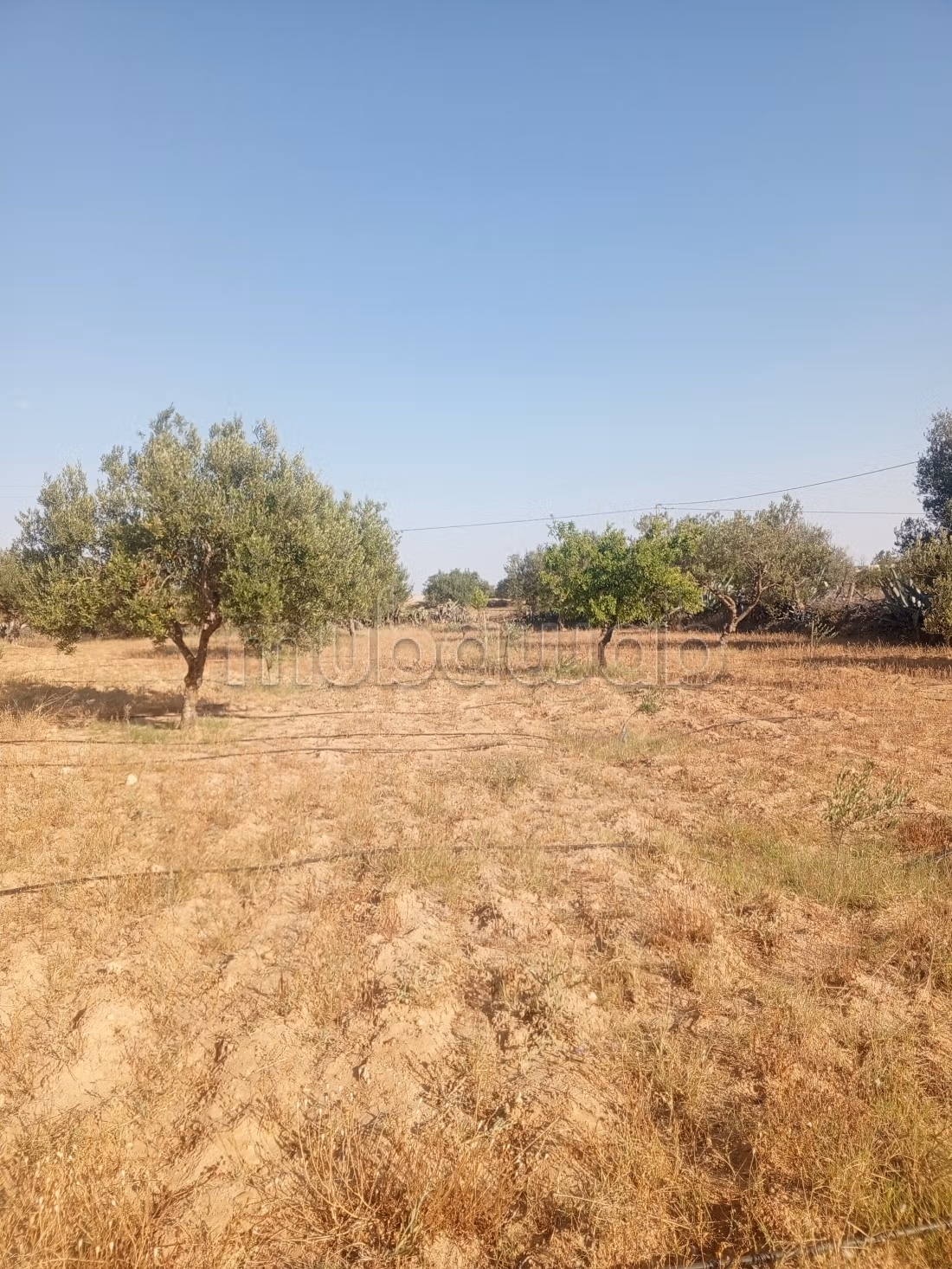 Terreno in vendita nel castello الكبرى