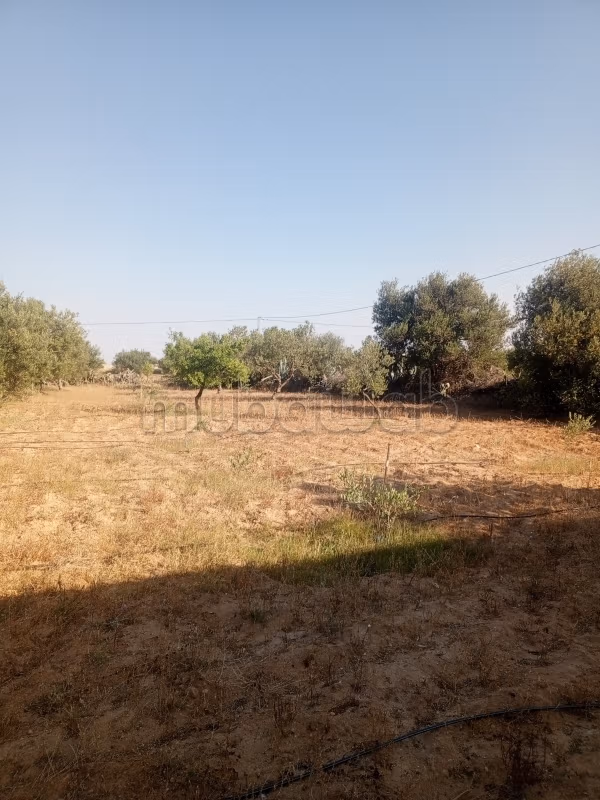 Terreno in vendita nel castello الكبرى