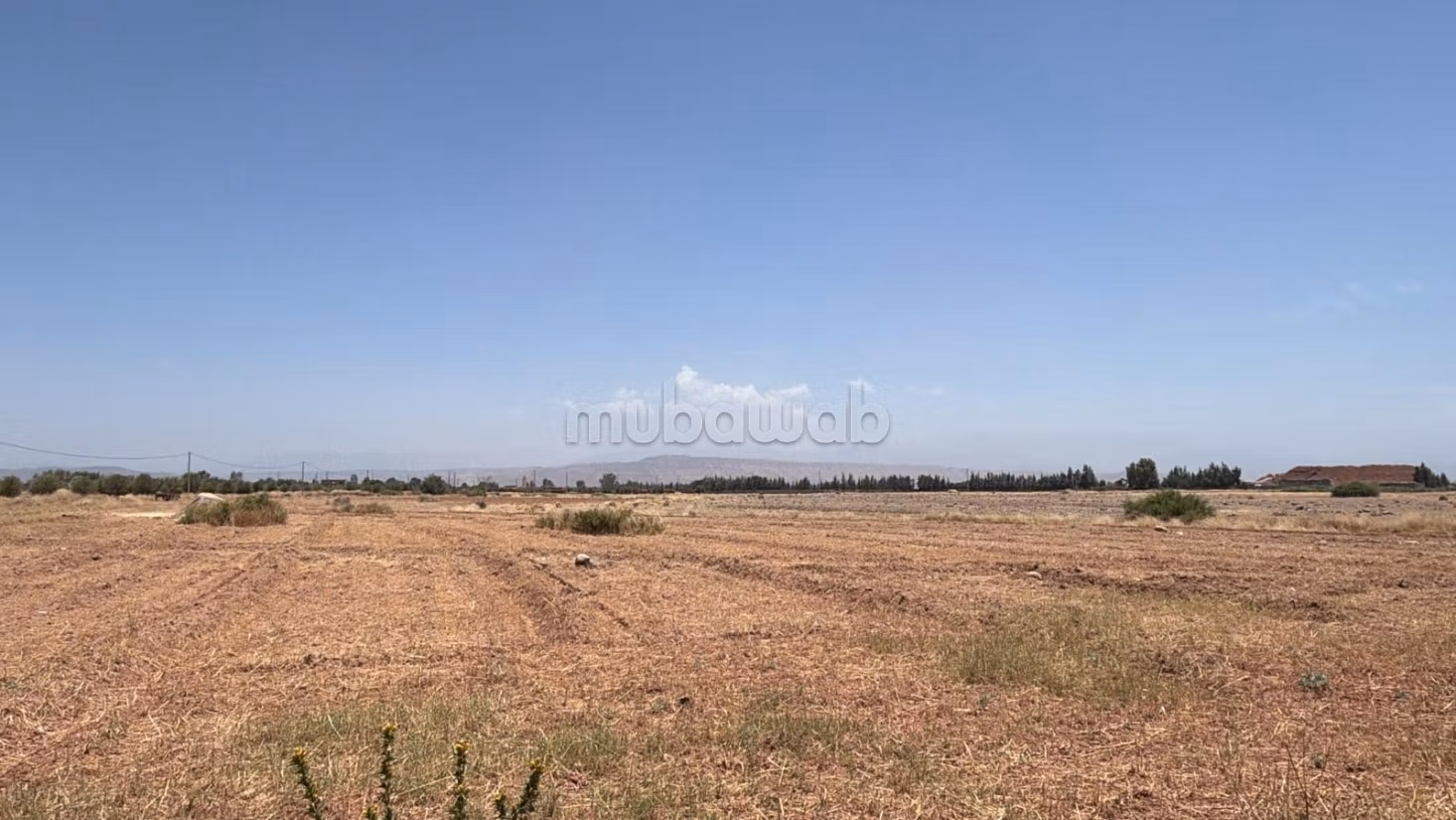 Land Title 10,000 m2, Atlas View, Rare Opportunity