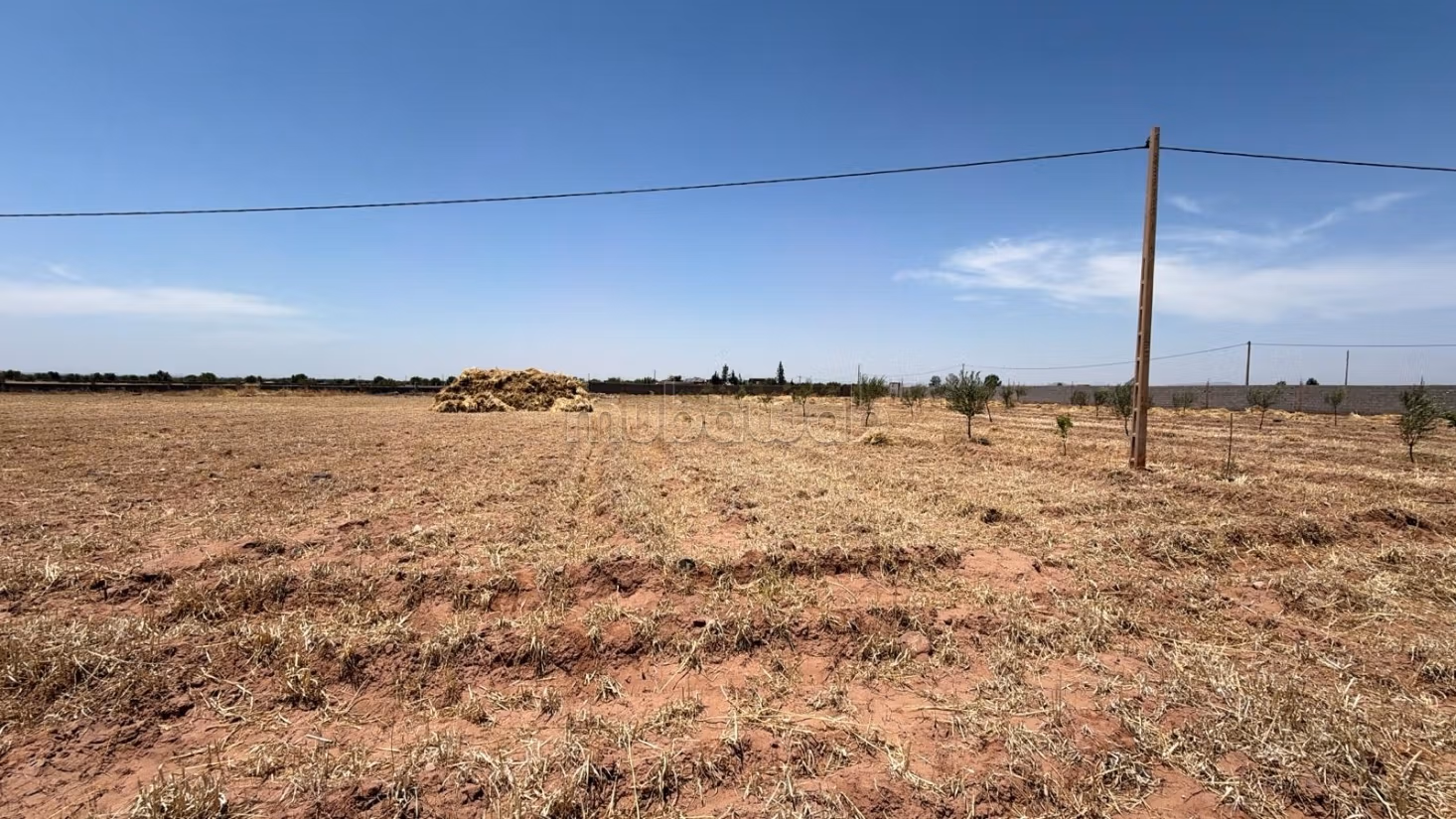 Land Title 10,000 m2, Atlas View, Rare Opportunity