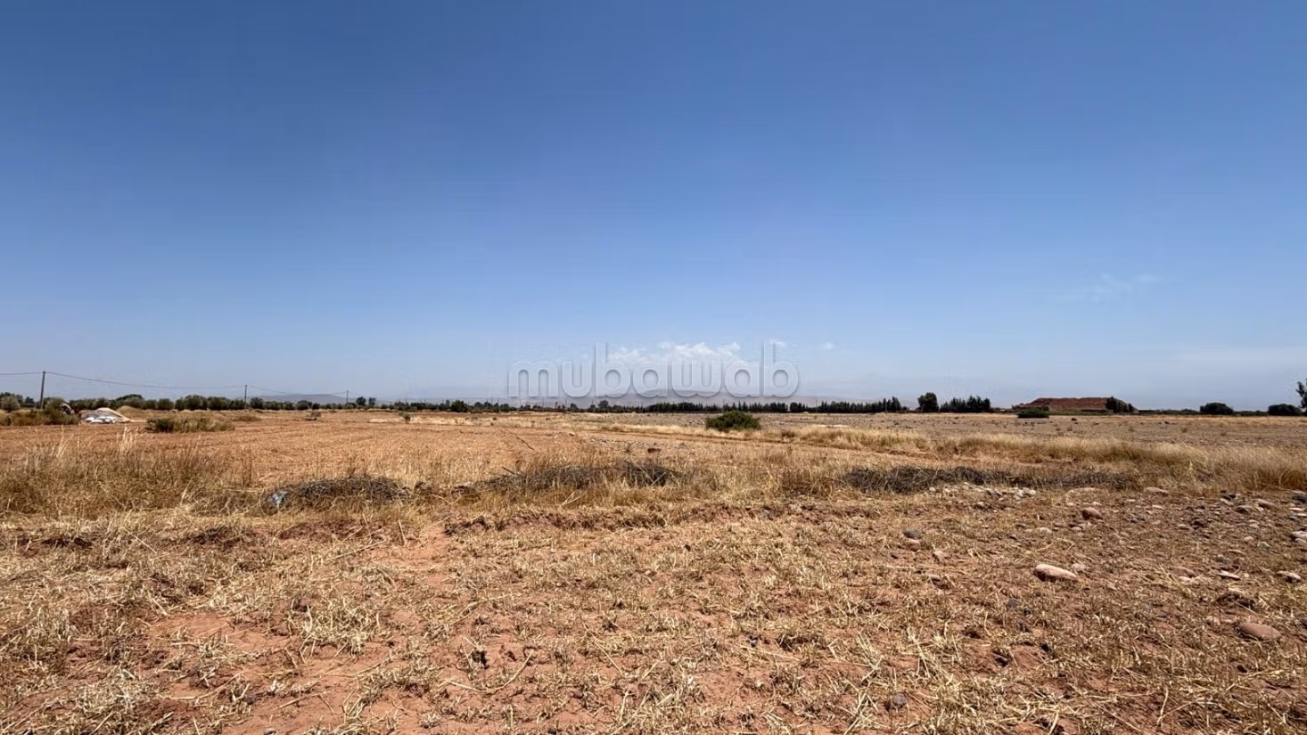 Land Title 10,000 m2, Atlas View, Rare Opportunity