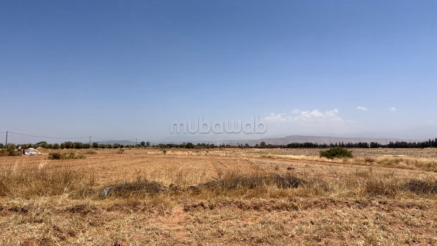 Land Title 10,000 m2, Atlas View, Rare Opportunity