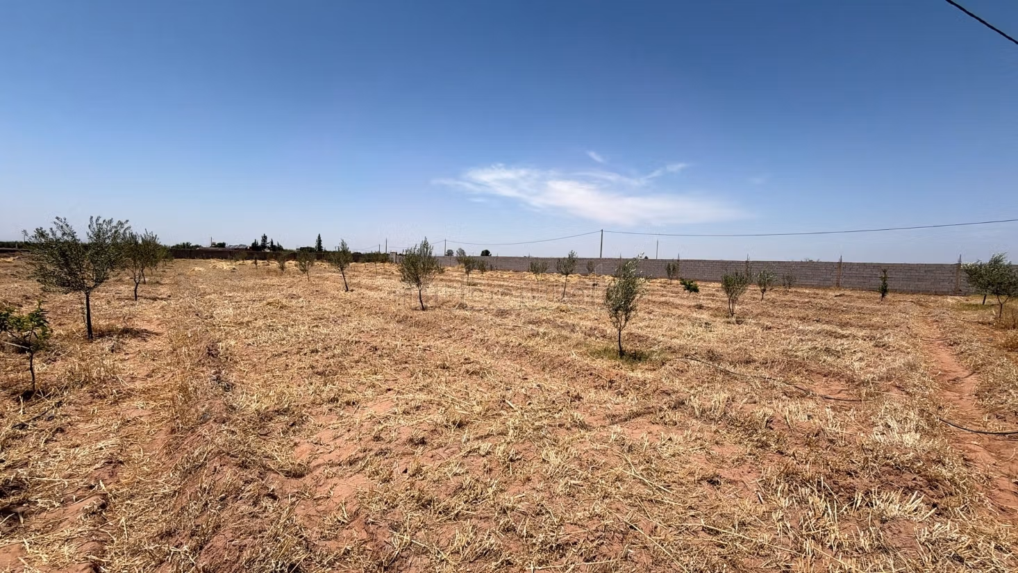 Land Title 10,000 m2, Atlas View, Rare Opportunity