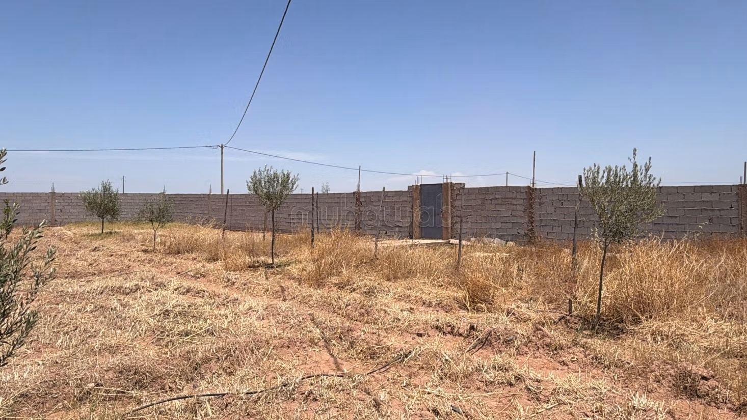 Land Title 10,000 m2, Atlas View, Rare Opportunity