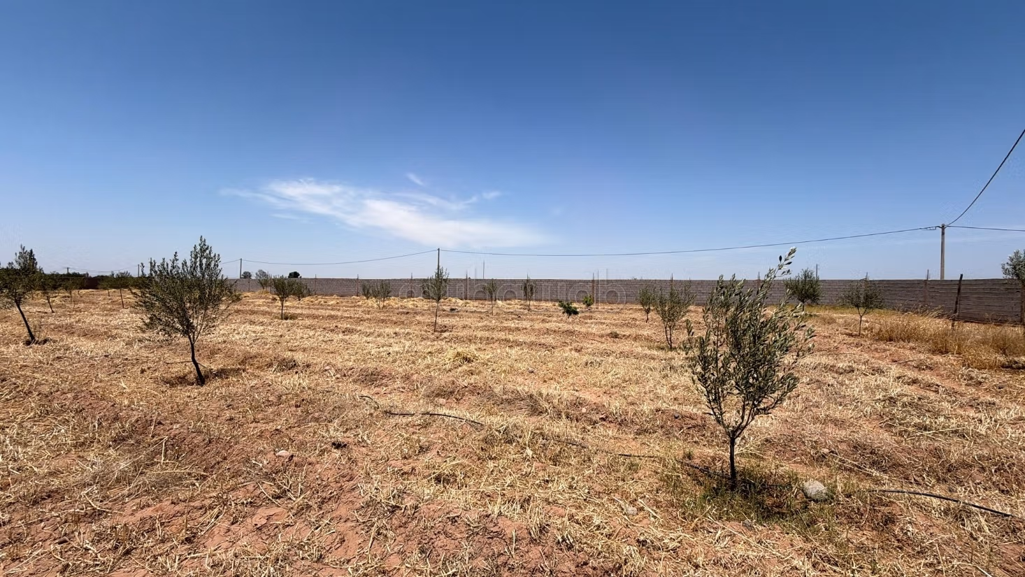 Land Title 10,000 m2, Atlas View, Rare Opportunity
