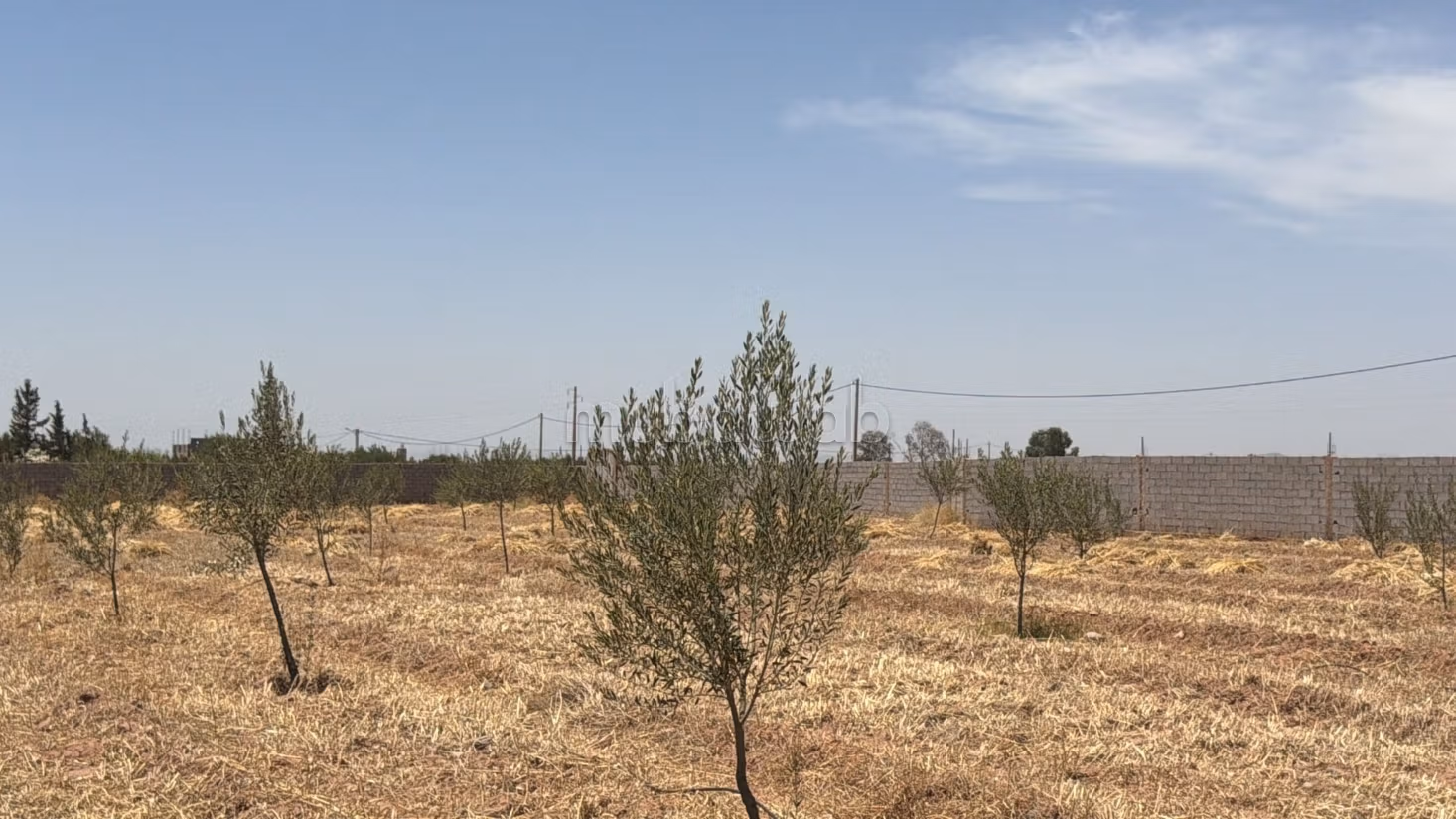 Land Title 10,000 m2, Atlas View, Rare Opportunity