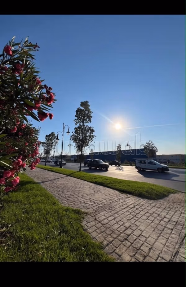 Land for sale on the national road in Asilah. Area 2034 m²