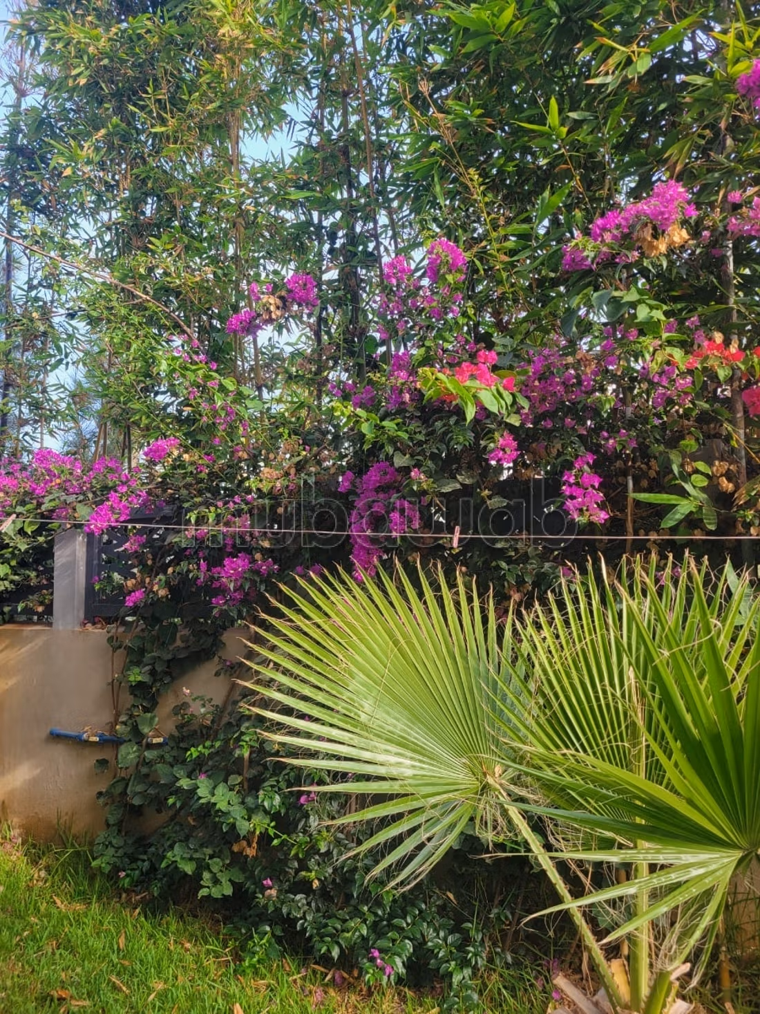 Villa in Affitto – Bahia Golf Beach, Bouznika