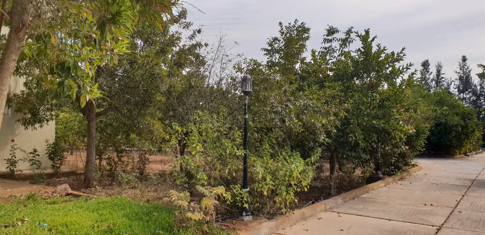 Villa di alta classe in affitto a El Menzeh. 4 stanze. Arredata