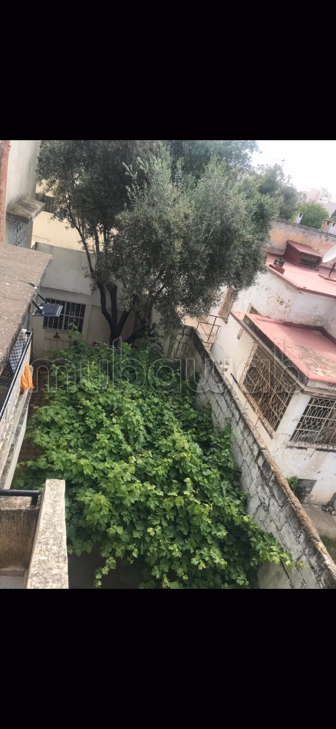 Casa di alto standing in vendita a Ex Combattenti. 7 grandi stanze. Giardino e terrazza