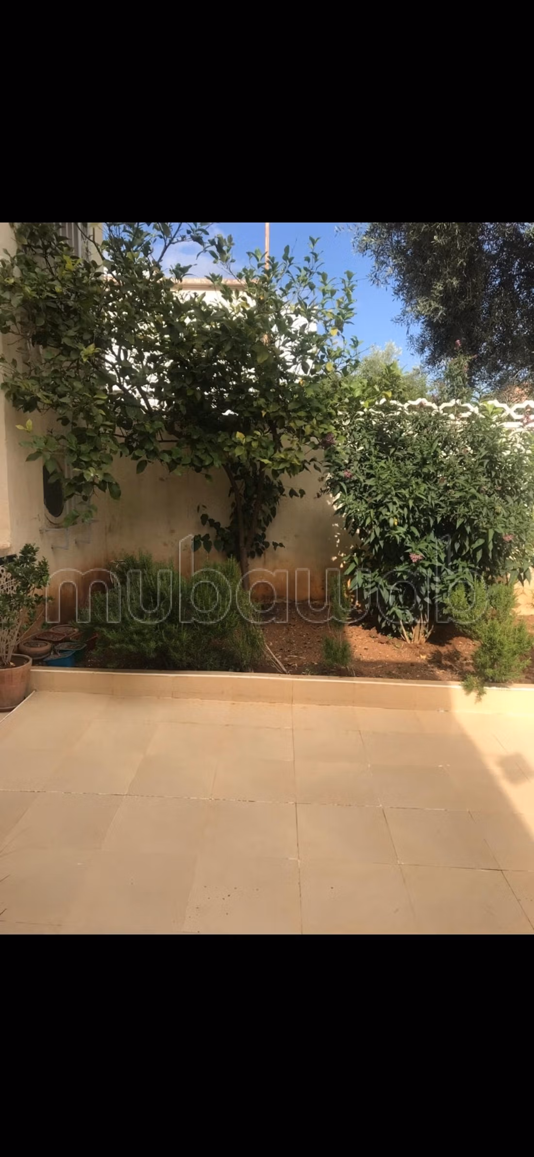 Casa di alto standing in vendita a Ex Combattenti. 7 grandi stanze. Giardino e terrazza