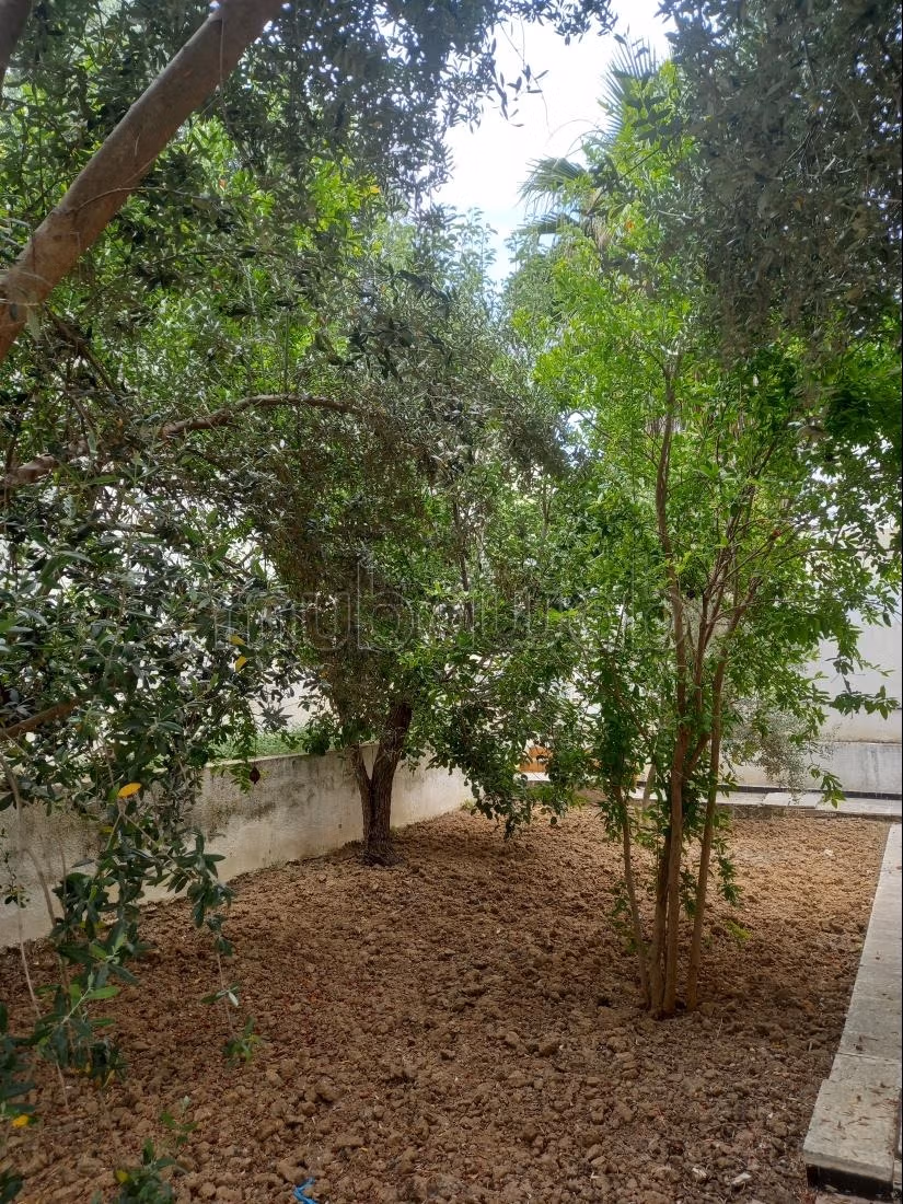 Magnifica Villa a El Menzah 9 A