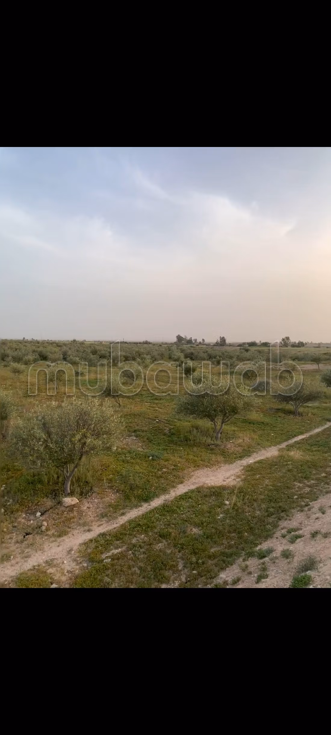 Terreno agrícola en venta