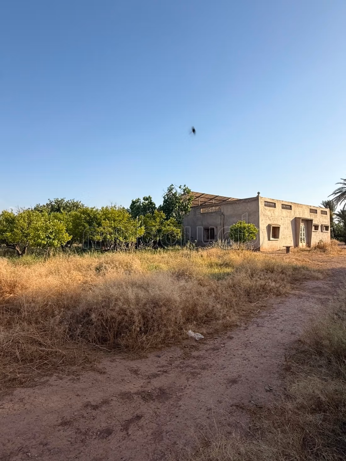 Agréable ferme à vendre à Route Amizmiz.
Surface totale 140000 m²