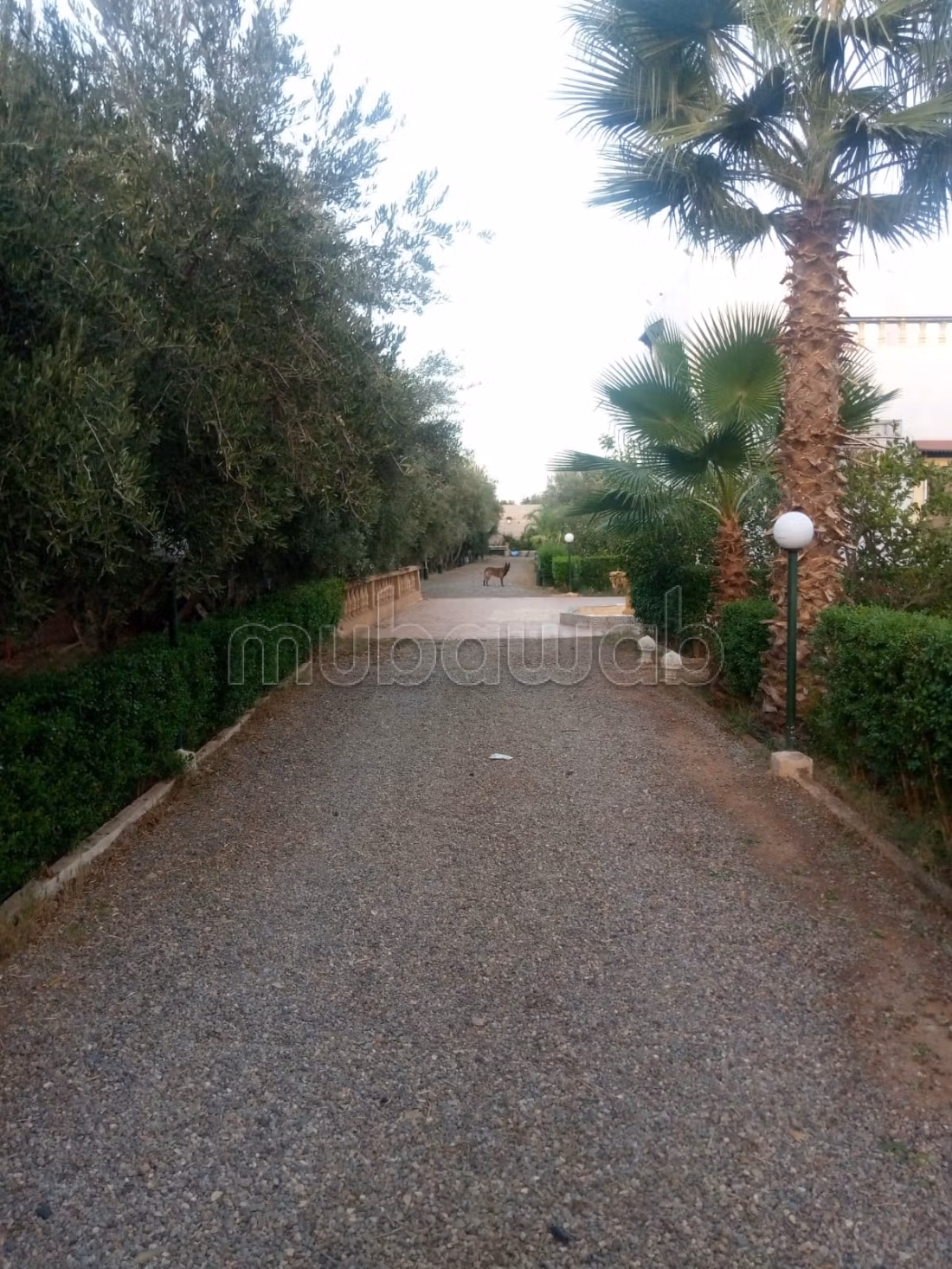 Da acquisire, proprietà titolata di 7000 m2, strada per Fes