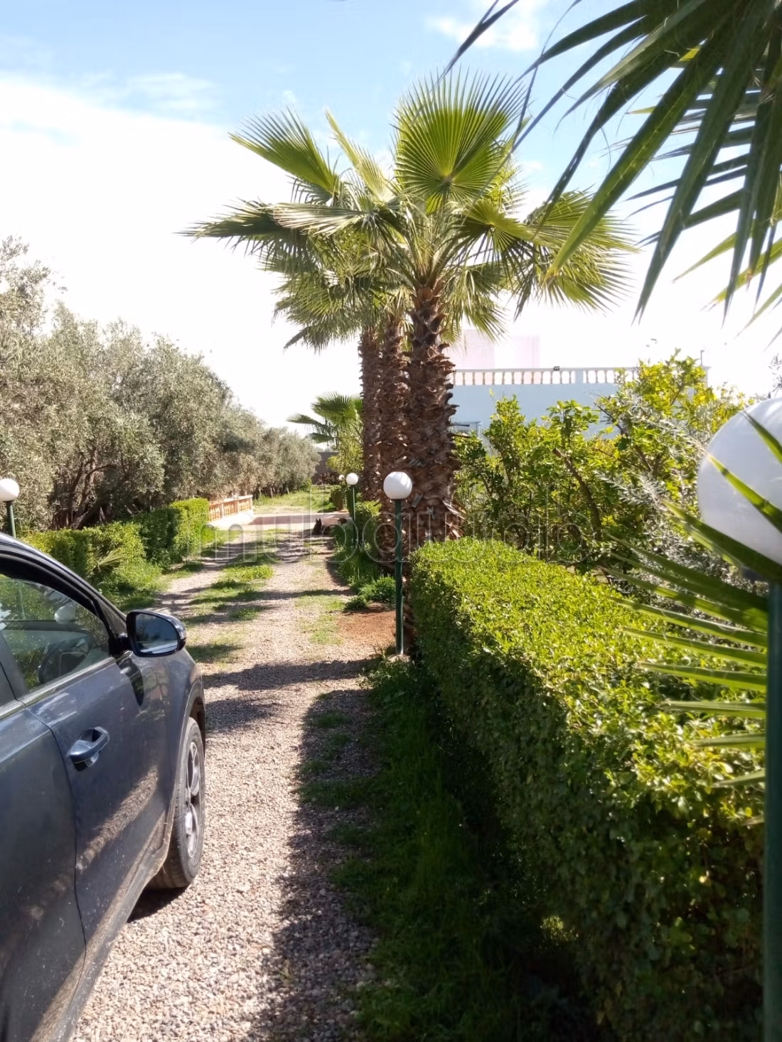Da acquisire, proprietà titolata di 7000 m2, strada per Fes