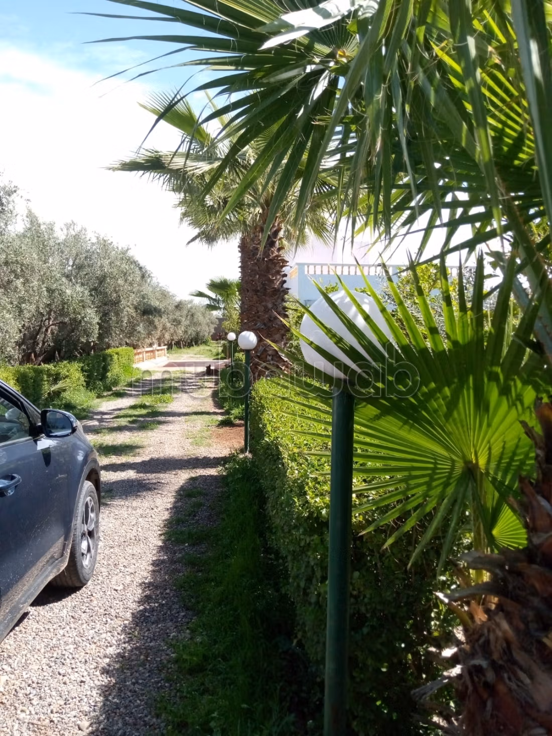 Da acquisire, proprietà titolata di 7000 m2, strada per Fes