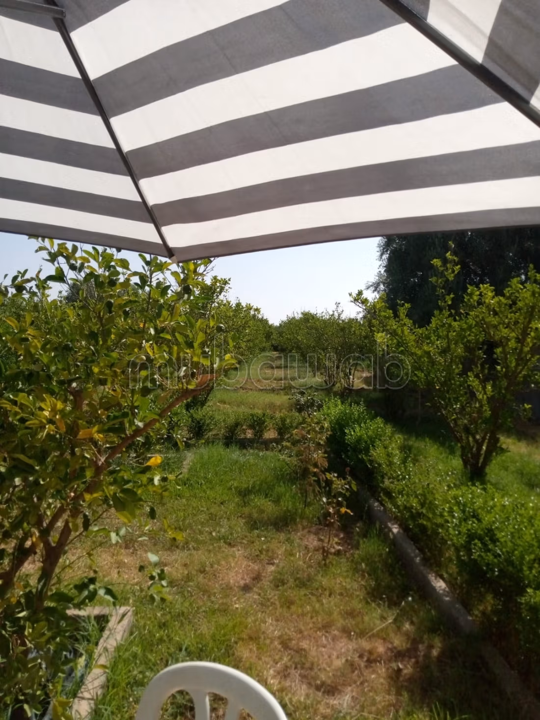 Da acquisire, proprietà titolata di 7000 m2, strada per Fes