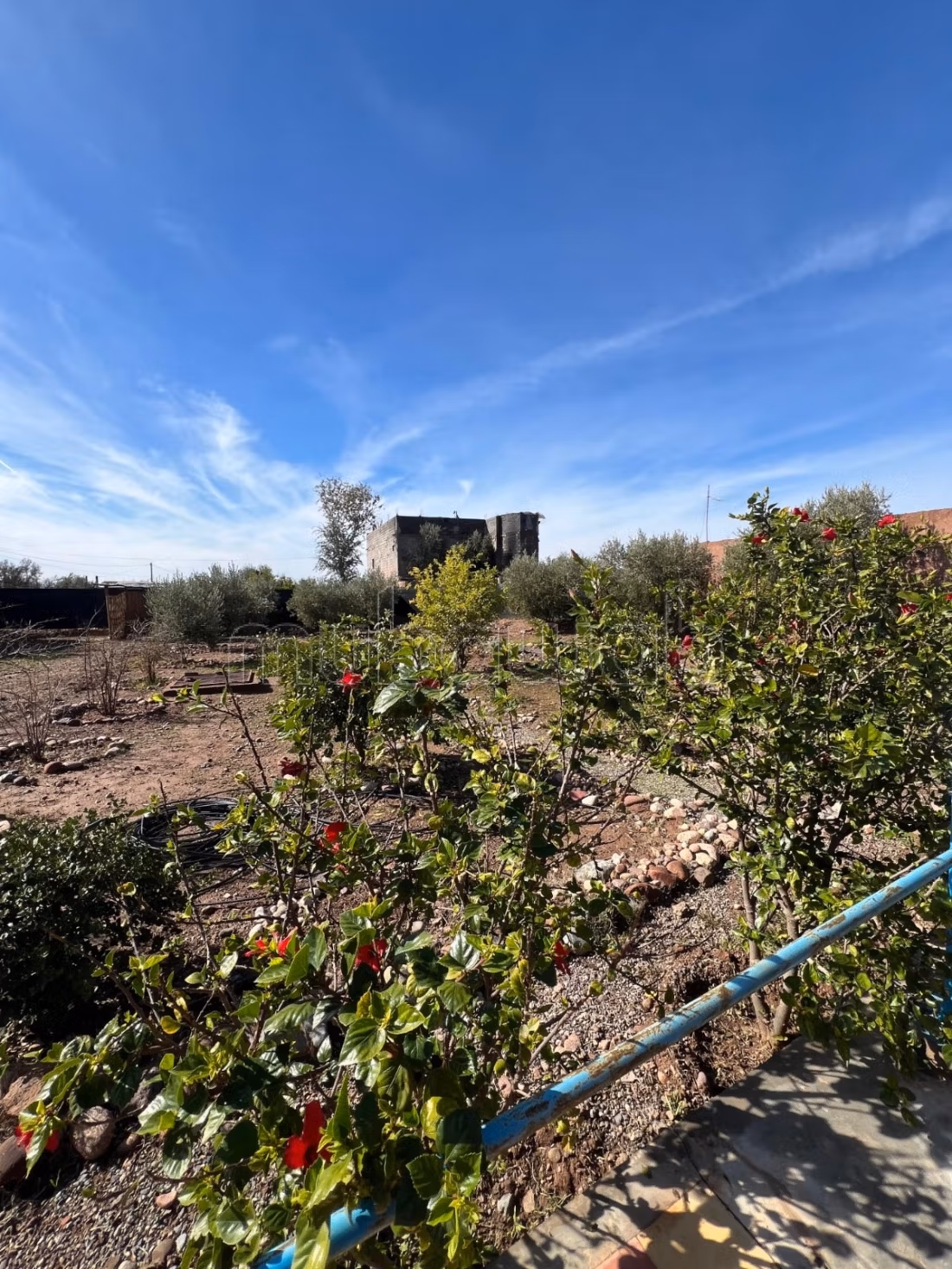 Da acquisire, proprietà titolata di 7000 m2, strada per Fes