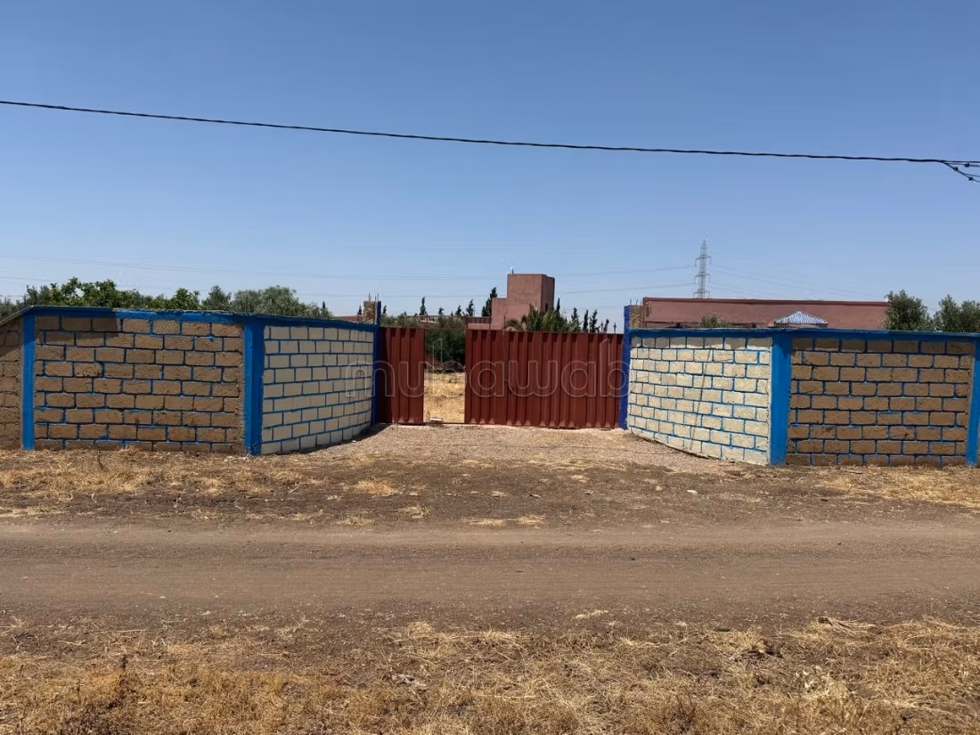 Granja de 13000m2 inmediatamente explotable Settat