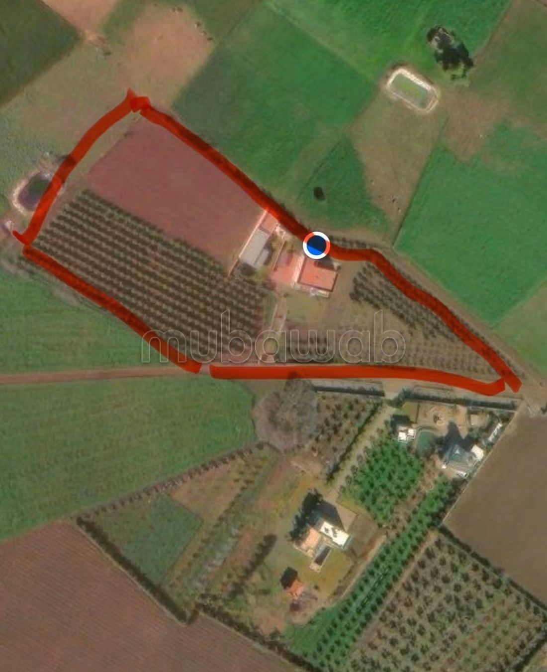Granja de 13000m2 inmediatamente explotable Settat