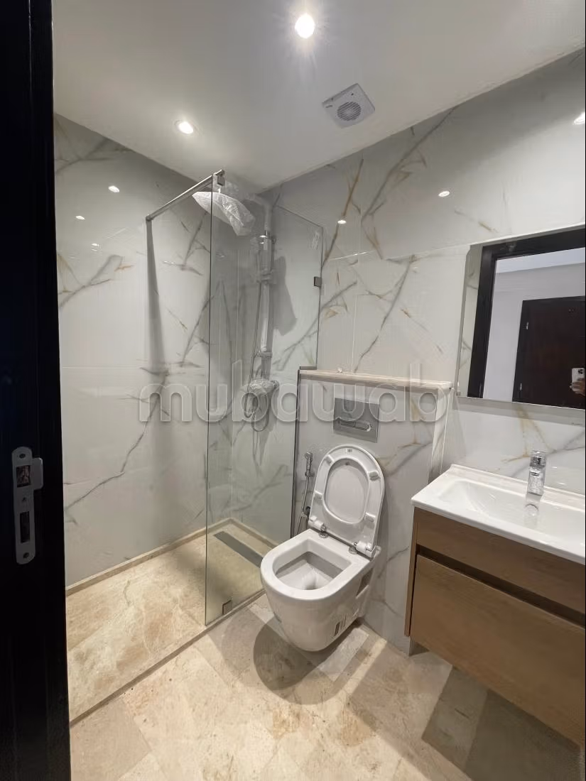 Very nice apartment for rent in Hermitage. 1 Room. Double glazed windows and armored door