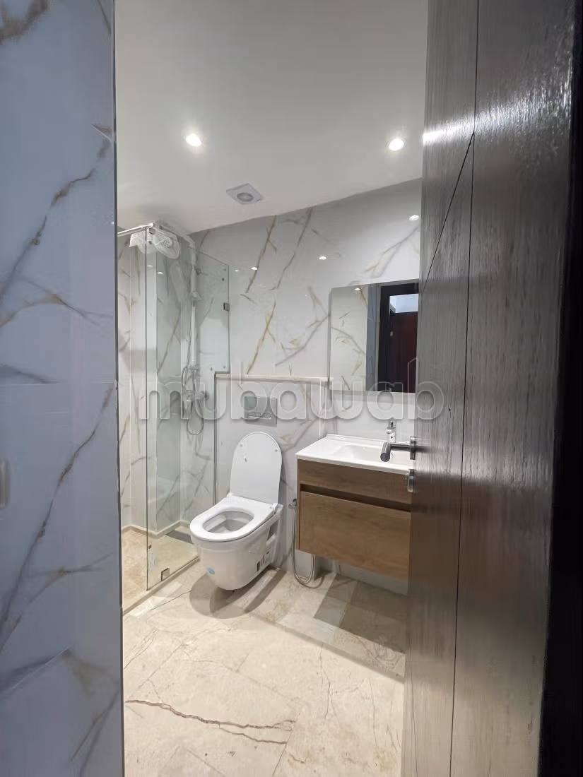 Very nice apartment for rent in Hermitage. 1 Room. Double glazed windows and armored door