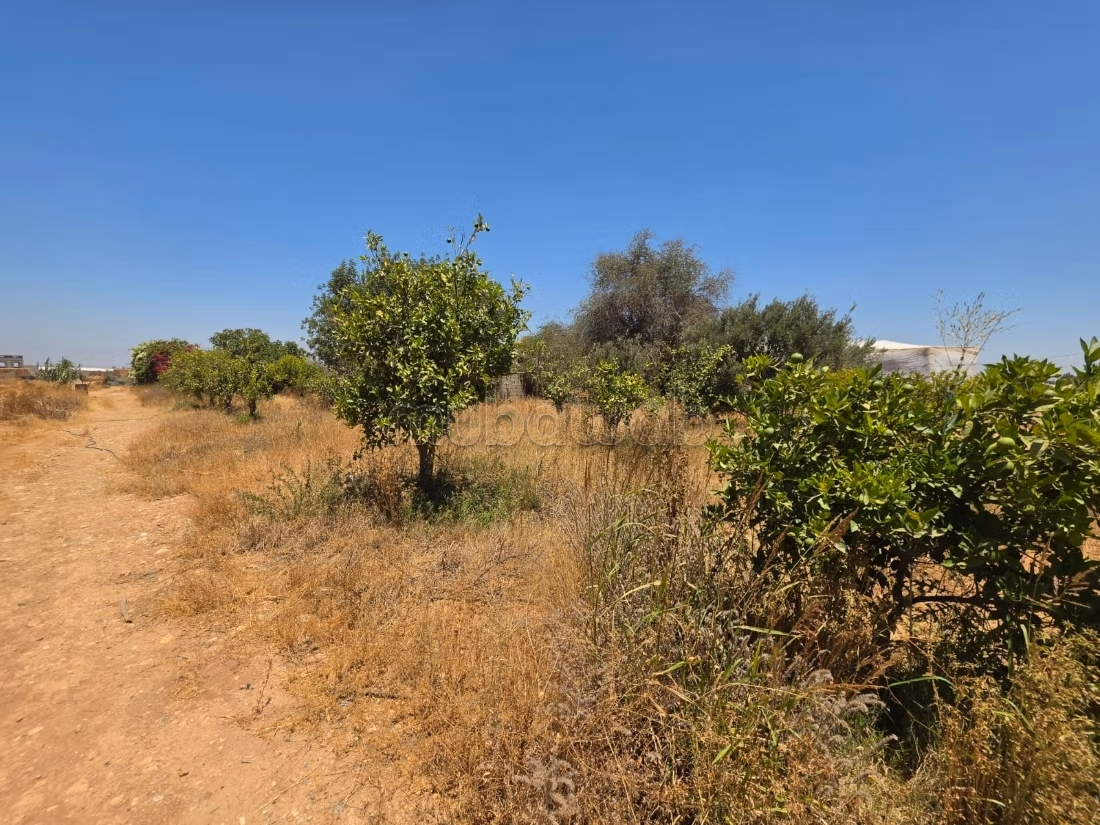 Grond van 4.700 m² met uitzicht op de Atlas
