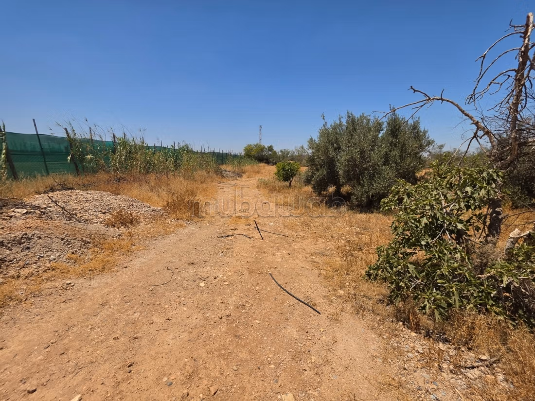 Grond van 4.700 m² met uitzicht op de Atlas