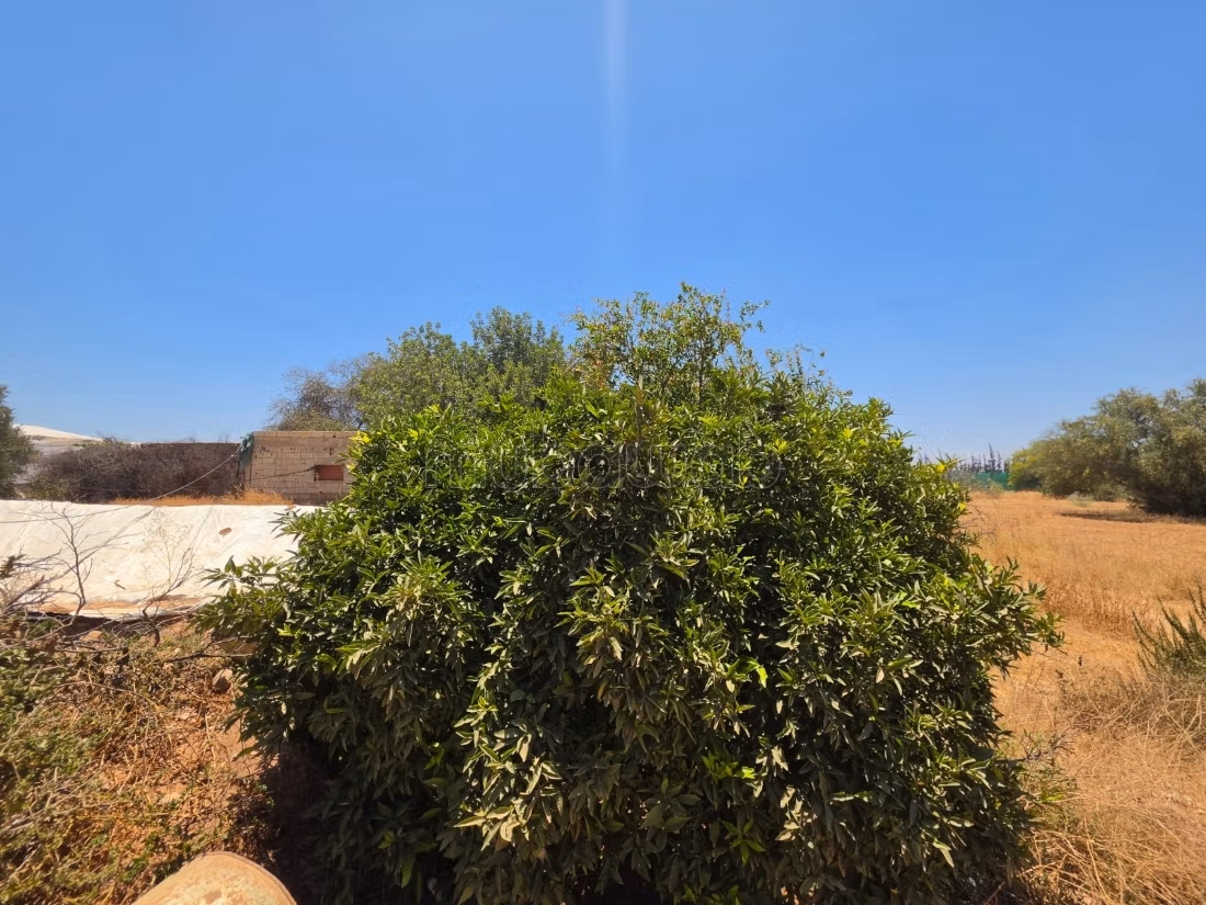 Grond van 4.700 m² met uitzicht op de Atlas