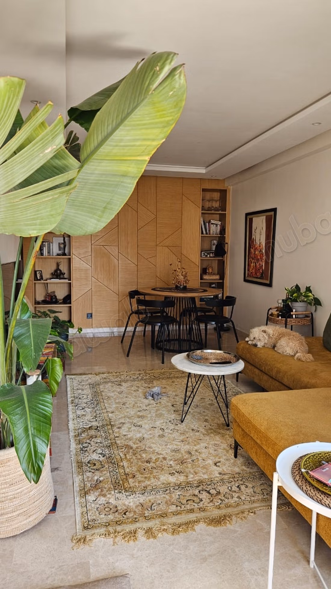 Appartement VIDE et NEUF à louer Hay Riad